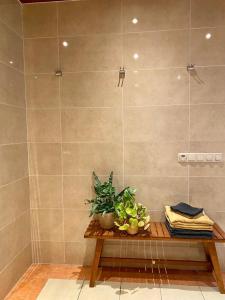 a bathroom with a table with a plant on it at Boukje har Bêd en Brochje in Burgum