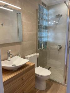 a bathroom with a toilet and a sink and a shower at Studio bord de mer in Saint-Laurent-du-Var