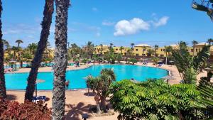 - Vistas a la piscina de un complejo con palmeras en Tamarindo 27 pool front next to the dunes, free WIFI, en Corralejo