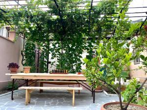 Um jardim no exterior de Guest House - Avlabari