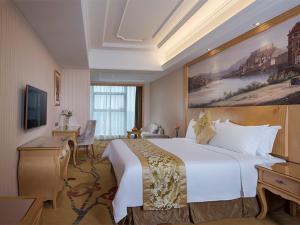um quarto de hotel com uma cama grande e uma televisão em Vienna Hotel(Xiangtan Center Branch ) em Xiangtan