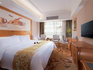 Vienna Hotel Huizhou Baiyun Road في هويزو: غرفه فندقيه سرير كبير وتلفزيون