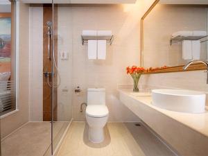 un bagno con wc, lavandino e doccia di Vienna Hotel Shenzhen Lo Wu Control Point a Shenzhen