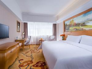 TV a/nebo společenská místnost v ubytování Vienna Hotel Shenzhen Lo Wu Control Point