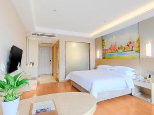 Μια τηλεόραση ή/και κέντρο ψυχαγωγίας στο Vienna International Hotel Hengyang Chuanshan Road Branch