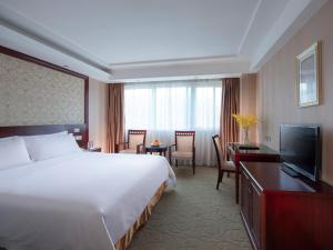 Μια τηλεόραση ή/και κέντρο ψυχαγωγίας στο Vienna Hotel Shenzhen Fenghuang Road