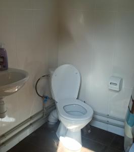 a bathroom with a white toilet and a sink at Еко Садиба Під Полониною in Sasivka +96 photos