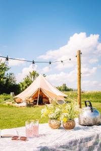 Smuk Lytse Bell Tent في Echtenerbrug: طاولة بالنباتات وخيمة في ميدان