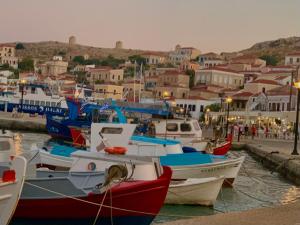 a group of boats are docked in a harbor at 1890 Fanourakis House in Halki