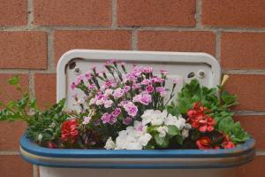 a planter filled with flowers in front of a brick wall at Hof Schlossblick in Bösdorf