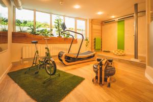 Fitness centrum a/nebo fitness zařízení v ubytování Hotel Luise