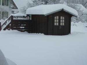 Ferienwohnung Kollmann v zimě