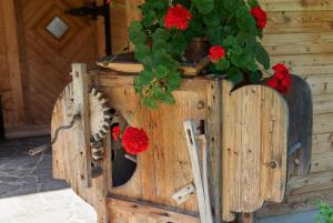 Fotografie z fotogalerie ubytování Saukaserstub'n Apartments - Ferienwohnung Schützkogel v destinaci Jochberg