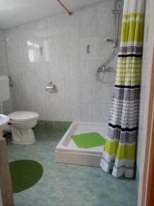 uma casa de banho com um WC e uma cortina de chuveiro em APARTMAN IVANKA em Vir