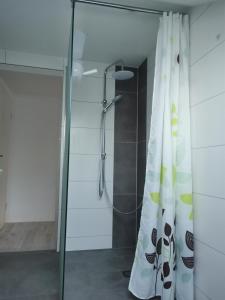 ヴァンゲン・イム・アルゴイにあるFerienwohnung NESTのバスルーム(シャワー、シャワーカーテン付)