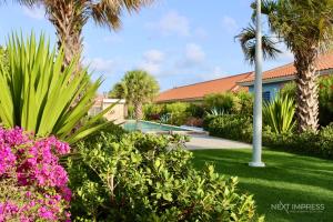 einen Garten mit Palmen und einem Pool in der Unterkunft Ultimate Caribbean Experience in Willemstad