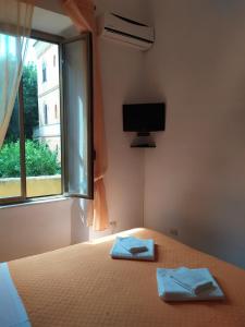um quarto com uma cama, uma janela e uma televisão em Room CasaVostrA em Roma