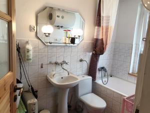 y baño con lavabo, aseo y espejo. en Zielony Domek - Tleń Bory Tucholskie, en Tleń
