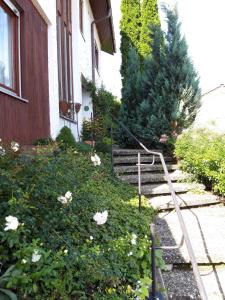 un jardin fleuri et des escaliers menant à une maison dans l'établissement Ferienwohnung Rosa Müller, à Wangen im Allgäu