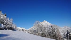Rauthhof Pitztal v zime