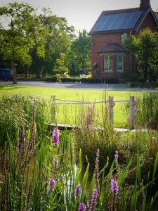 Walwyn Court Barns في ليدبوري: حديقة بها زهور أرجوانية أمام المنزل