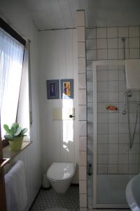 y baño con ducha, aseo y lavamanos. en Ferienwohnung Naturfreund en Lügde