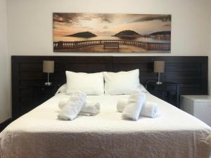 圣塞瓦斯蒂安Pensión Amara的一间卧室，床上有两个枕头