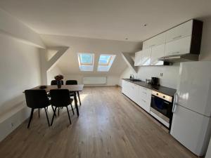 Kuchyň nebo kuchyňský kout v ubytování Černý Tulipán - Apartmán 5