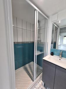 Ένα μπάνιο στο "Gîte Les Glycines" linge inclus proche centre-ville +10 φωτογραφίες