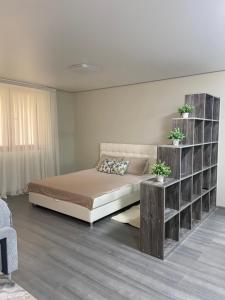 a bedroom with a bed and a book shelf at Уютная квартира, в центре города in Tiraspol