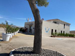 un arbre devant un bâtiment blanc dans l'établissement HOTEL Boutique ÁNGEL, à Santa Cruz de Mudela