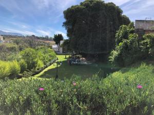 Zahrada ubytování BV Hotel Atlixco