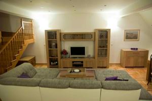 a living room with a couch and a television at Apartment Đakovo in Ðakovo