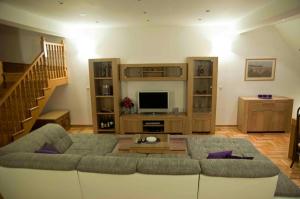 TV a/nebo společenská místnost v ubytování Apartment Đakovo