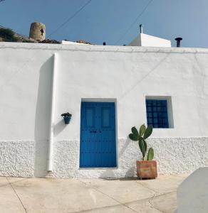 un edificio blanco con una puerta azul y un cactus en Damajuana ll, en Níjar