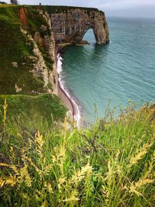 einen Bogen an der Seite einer Klippe neben dem Meer in der Unterkunft Appartements a 5 minutes de la mer a pied in Étretat