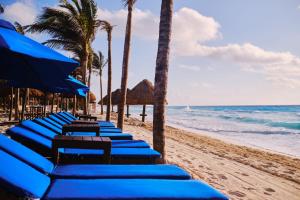 a row of blue beach chairs and palm trees on the beach at Hotel NYX Cancun in Cancún