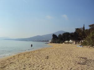 a person standing in the water on a beach at Amalia in Paleo Tsifliki