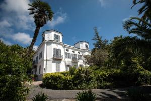 une maison blanche avec un palmier en face dans l'établissement Residence RTA Villa Marina, à Imperia