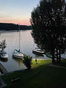 um par de barcos sentados na água em Mieszkanie nad jeziorem z własną linią brzegową em Iława