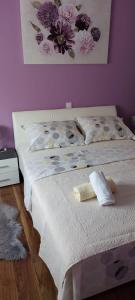 扎達爾的住宿－Apartmani Katarina，一间卧室设有两张床和紫色墙壁