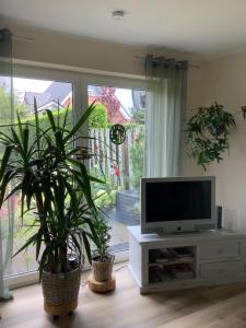 a living room with two potted plants and a television at Helle freundliche Wohnung + Garten zum Wohlfühlen in Vreden