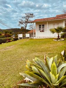 a house with a large green plant in the yard at Pousada Essência do Rosa in Praia do Rosa