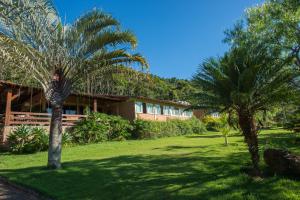 ein Haus mit Palmen davor in der Unterkunft Pousada Verbicaro in Santa Maria Madalena