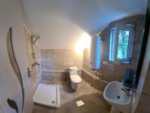 Ένα μπάνιο στο Cabana Ciupercuța +86 φωτογραφίες