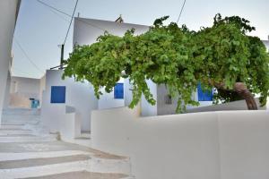a tree on the side of a white building at Anatoli Rooms in Aegiali