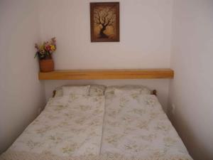 Apartment in Siofok/Balaton 19808 8600 Somogyfok kép - 2