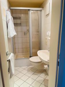 a bathroom with a toilet and a sink and a shower at Landhotel "Wettin" in Neuhermsdorf