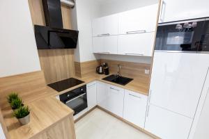 Kuchnia lub aneks kuchenny w obiekcie Apartament 7M z Basenem w jednym budynku Rewal, free private parking, Park rozrywki HOSSOLAND 30 minut