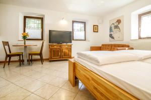 a bedroom with a bed and a tv and a table at Danilo's Resort, Vipavska dolina in Dobravlje